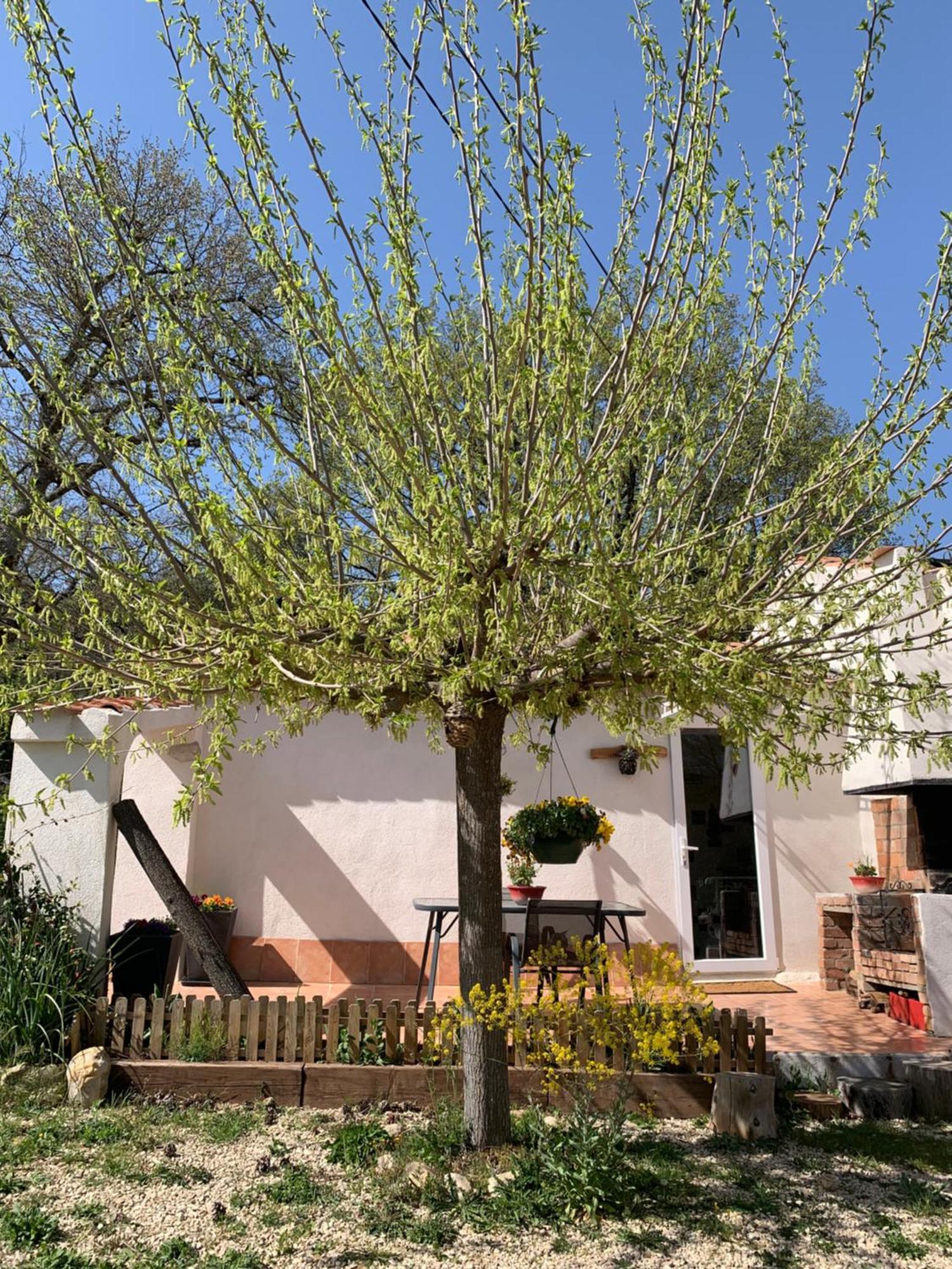מלון Saint-Martin-de-Brômes Sous Les Chenes מראה חיצוני תמונה